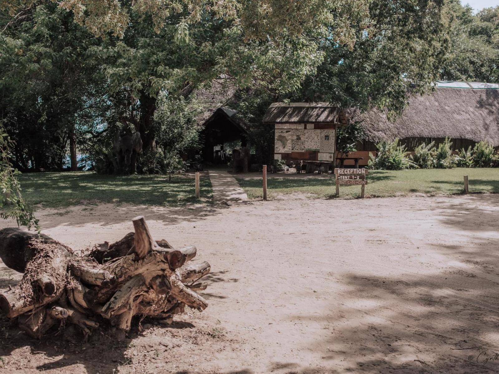 Ndhovu Safari Lodge Mahango Exterior photo